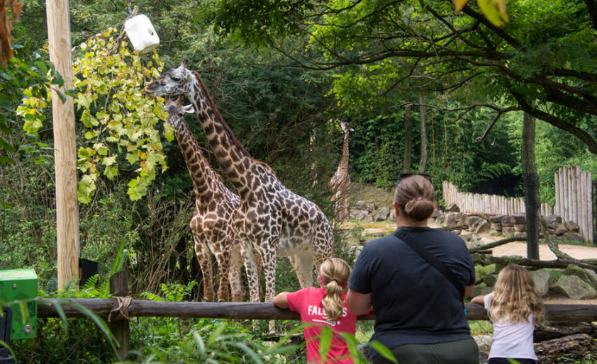 Cincinnati Zoo & Botanical Garden, United States